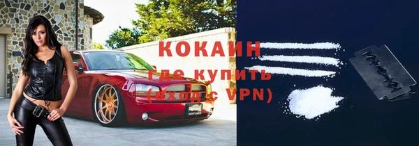 твердый Коряжма