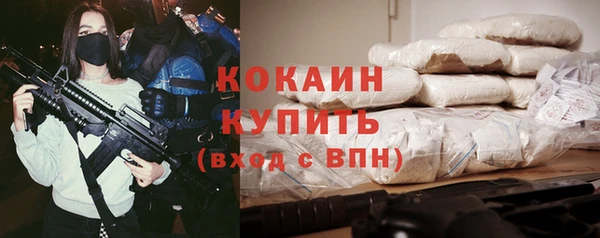 твердый Коряжма