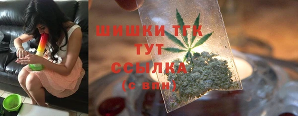 твердый Коряжма