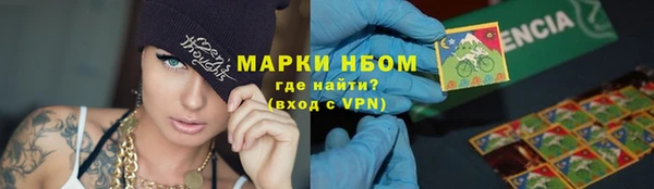 твердый Коряжма