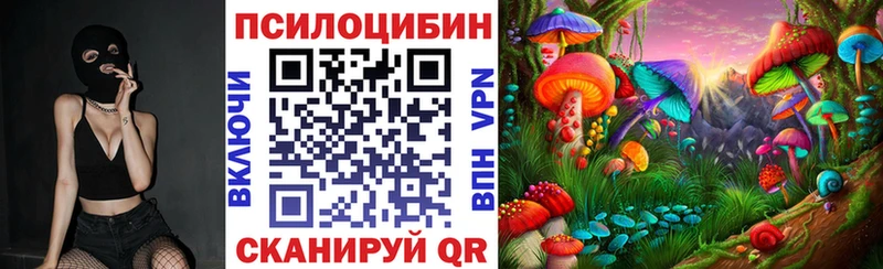 Галлюциногенные грибы Magic Shrooms  Камышин 